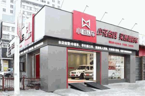 小极脉车