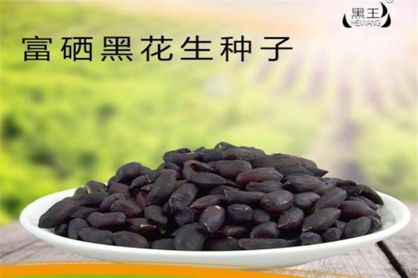 黑王食品