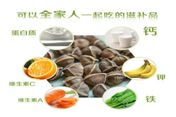 美极养极辣木