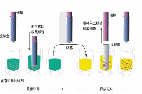 富华生物科技