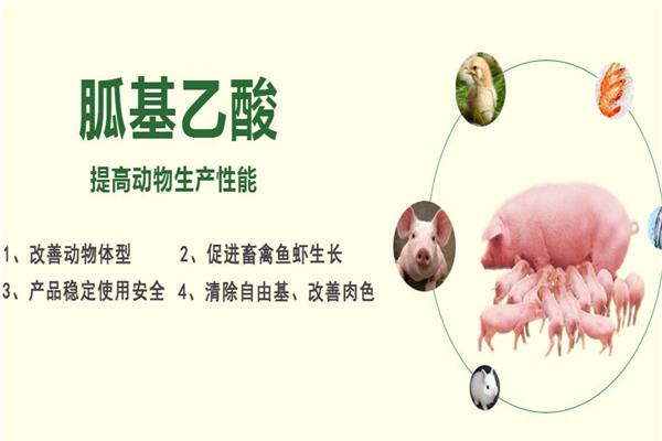 希友饲料