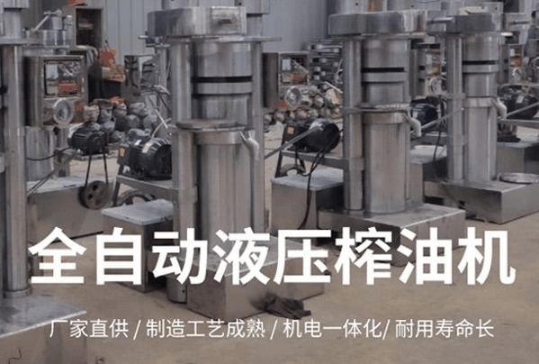 乐发榨油机加盟