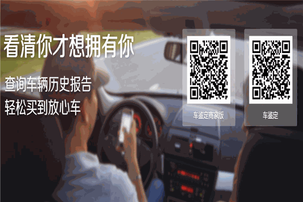 车鉴定app