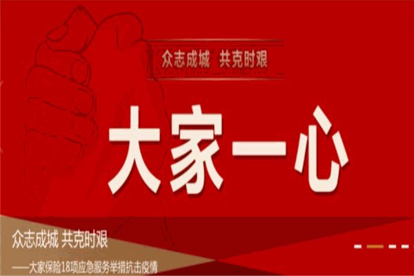 大家保险