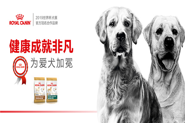 皇家宠物