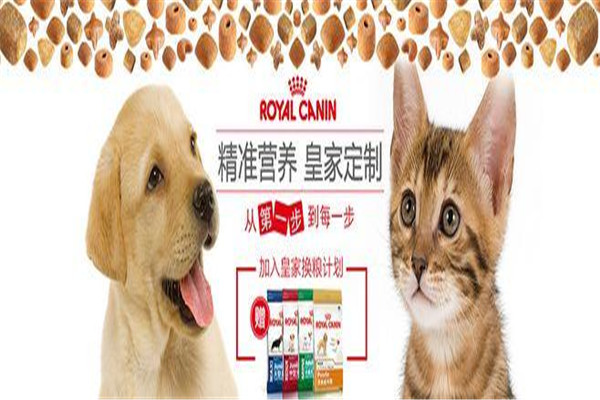 皇家宠物