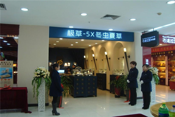极草5x冬虫夏草加盟