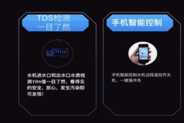 迪曼斯顿净水器