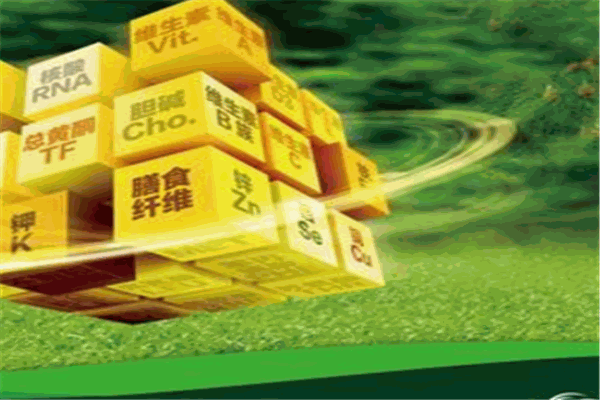 国正健康生活馆加盟