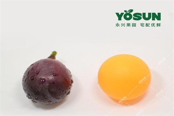 永兴果园