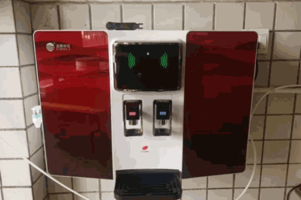 迪曼斯顿净水器