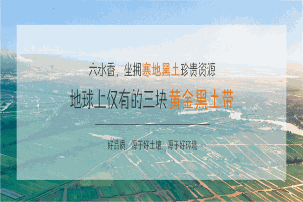 六水香大米