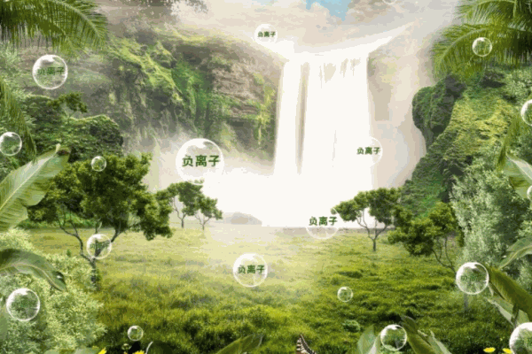 花语缘空气净化