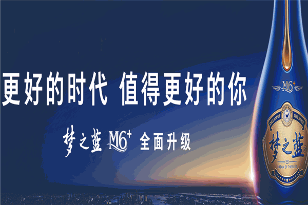 洋河天之蓝白酒