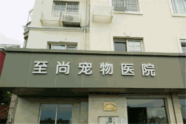 至尚宠物医院