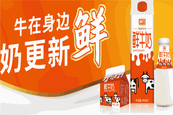 风行牛奶