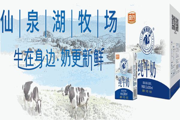 风行牛奶