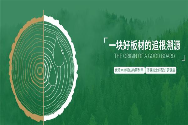 千年舟木门
