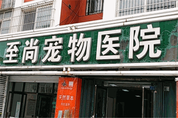 至尚宠物医院