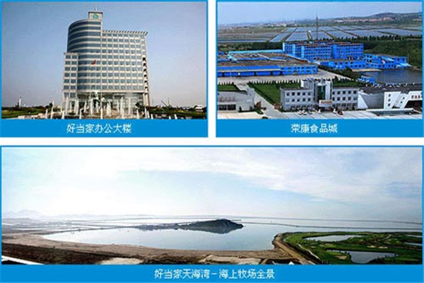 好当家刺参加盟