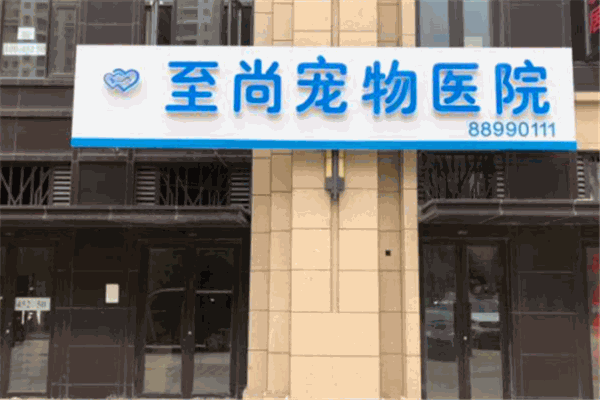 至尚宠物医院