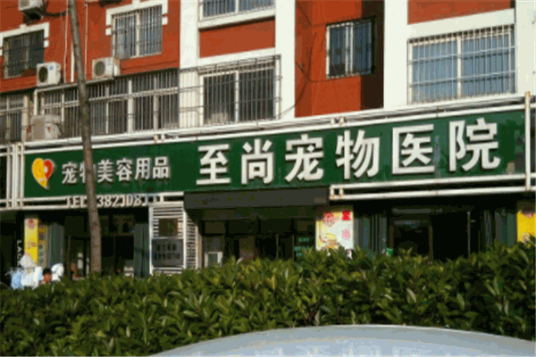 至尚宠物医院