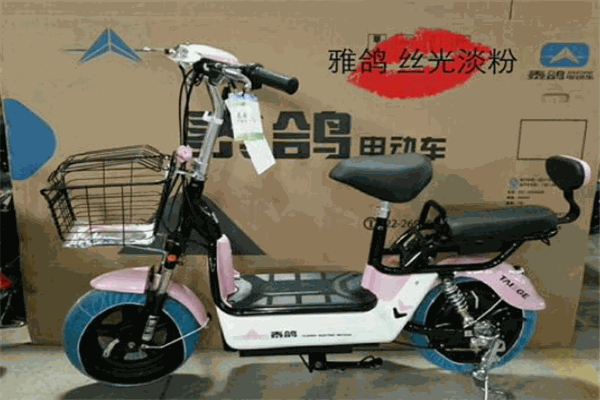 雅鸽