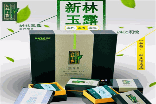 新林玉露茶叶加盟