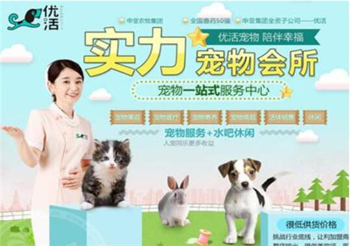 优活宠物乐园加盟