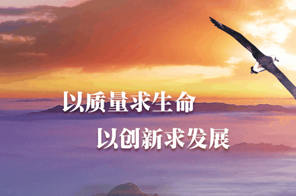 旭美环保加盟