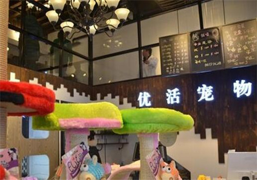 优活宠物乐园加盟