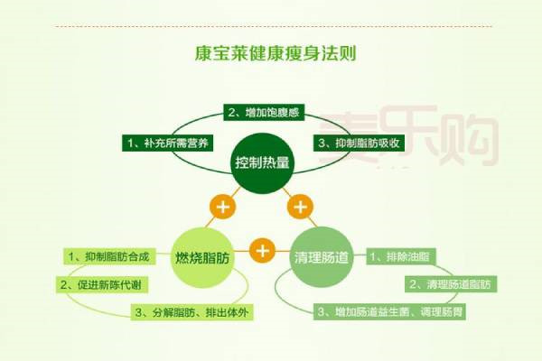 康宝莱奶昔加盟
