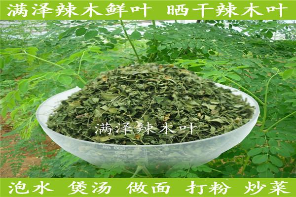 满泽养生加盟