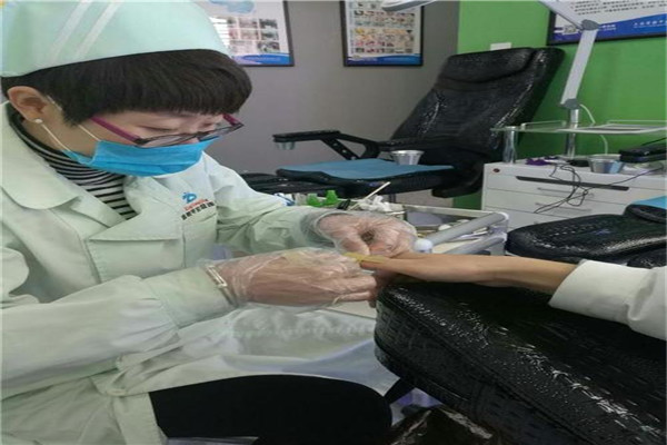 鳯舌金线莲加盟