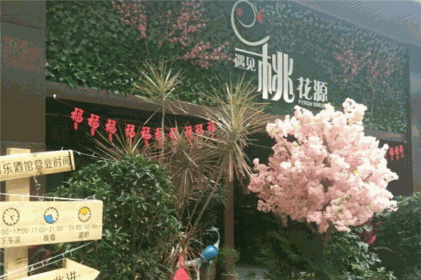 遇见桃花源音乐餐吧