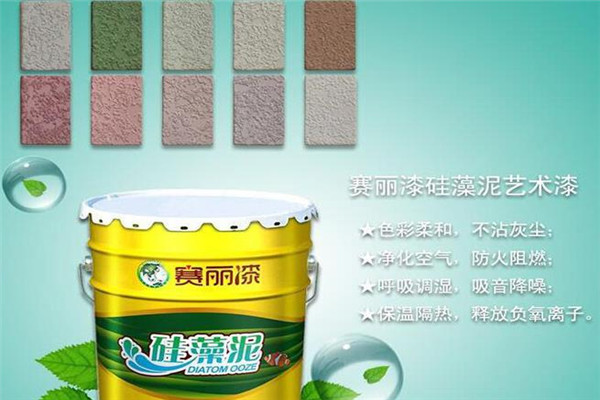 赛丽漆加盟