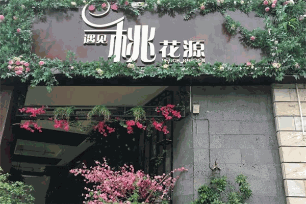 遇见桃花源音乐餐吧