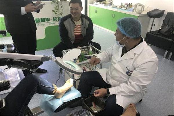 鳯舌金线莲加盟