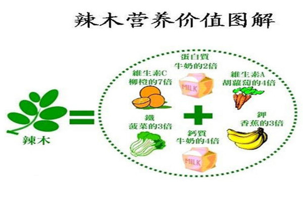 满泽养生加盟