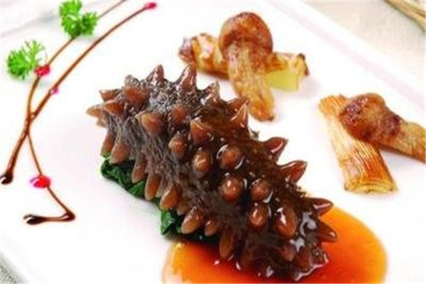 美丽石岛海参