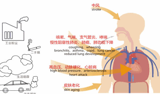 Mollyhouse儿童健康管理中心