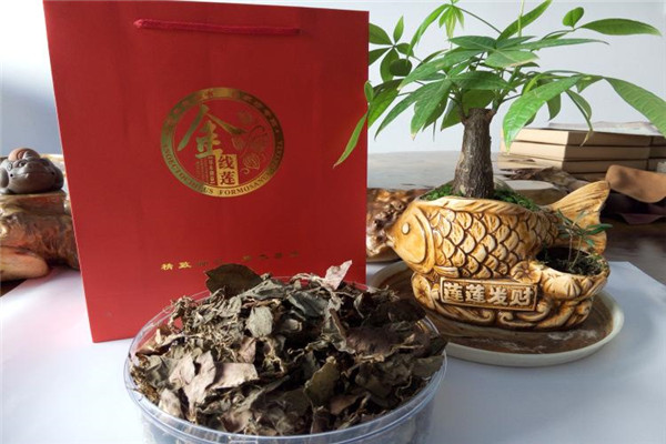 农博金草金线莲加盟