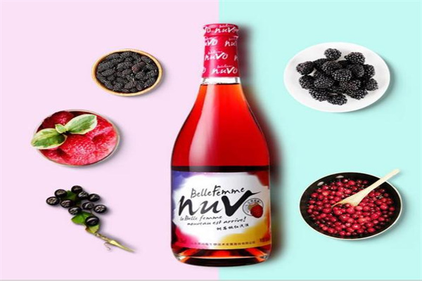 胜昌生物树莓酒加盟