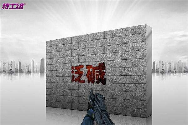 特工组涂料加盟