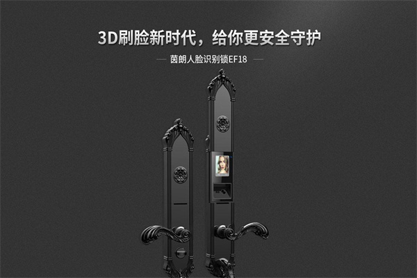 茵朗人脸识别锁加盟