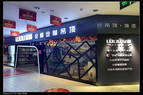 绿都健康定制吊顶加盟