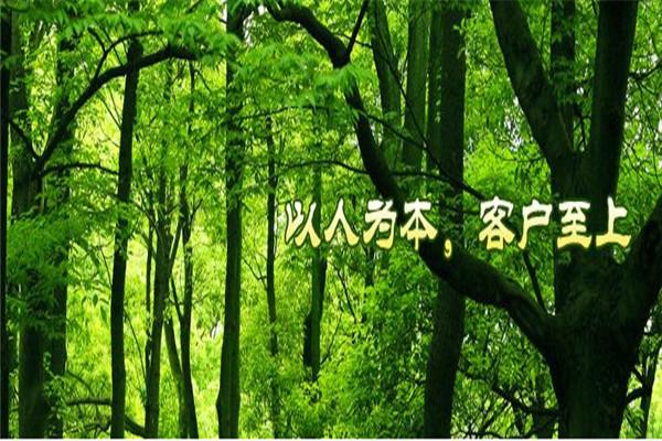 丰林木业加盟