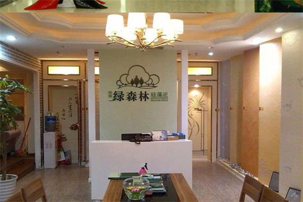 绿森林硅藻泥加盟