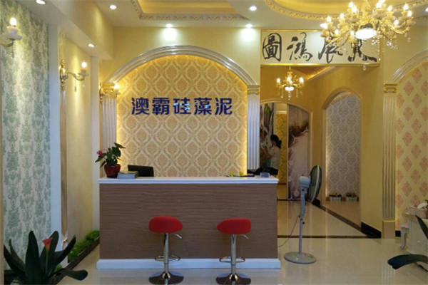 澳霸硅藻泥加盟