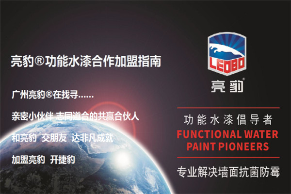 亮豹墙面漆加盟